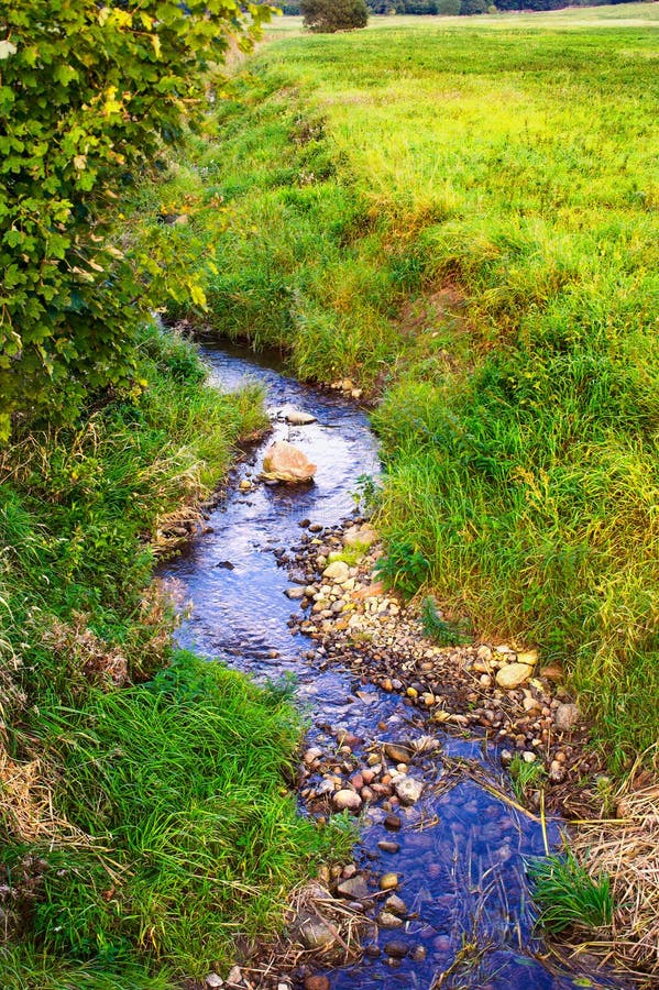 Small creek stock image. Image of backgrounds, botanical 2817053