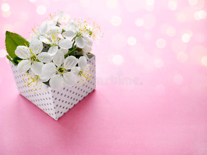 1,034 Pleasant Bokeh Background Stock Photos - Free & Royalty-Free Stock  Photos from Dreamstime