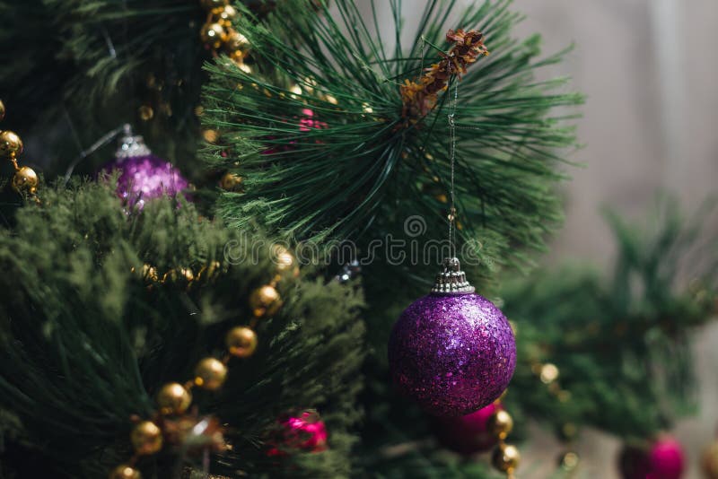 A small decorative Christmas ball covered with lilac spangles on a branch of a New Year`s green tree stock image A small decorative Christmas ball covered with lilac spangles on a branch of a New Year`s green tree stock image