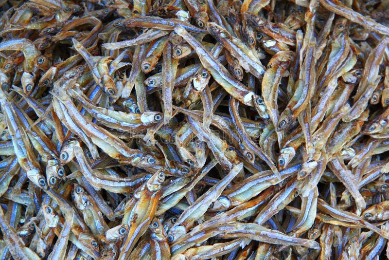 Small dry fish stock image. Image of gourmet, cuisine 22703365