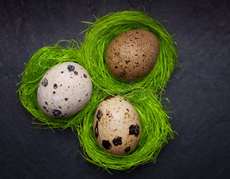 Small Easter Eggs Placed in a Circle in a Green Nest Stock Image