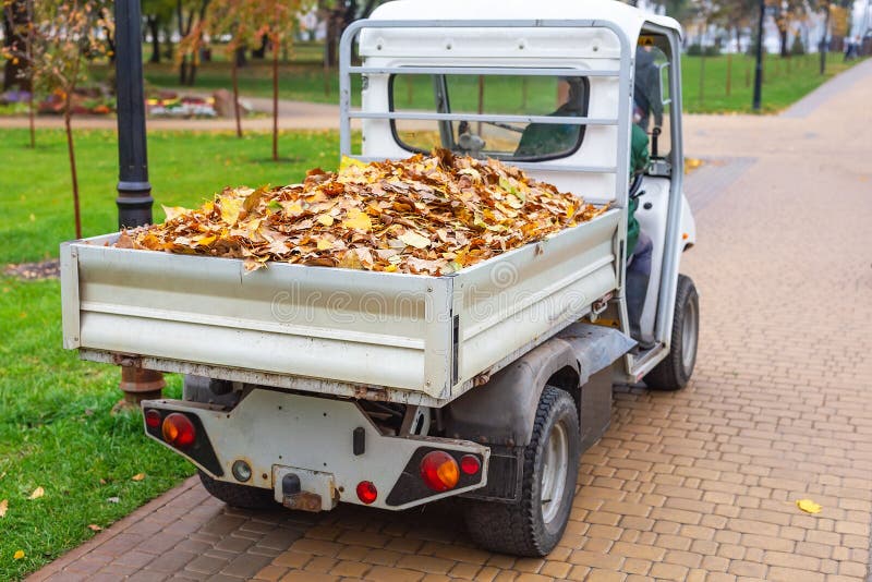 Small electric truck removing fallen leaves in body at autumn city park. Municipal urban services using ecology green vehicle