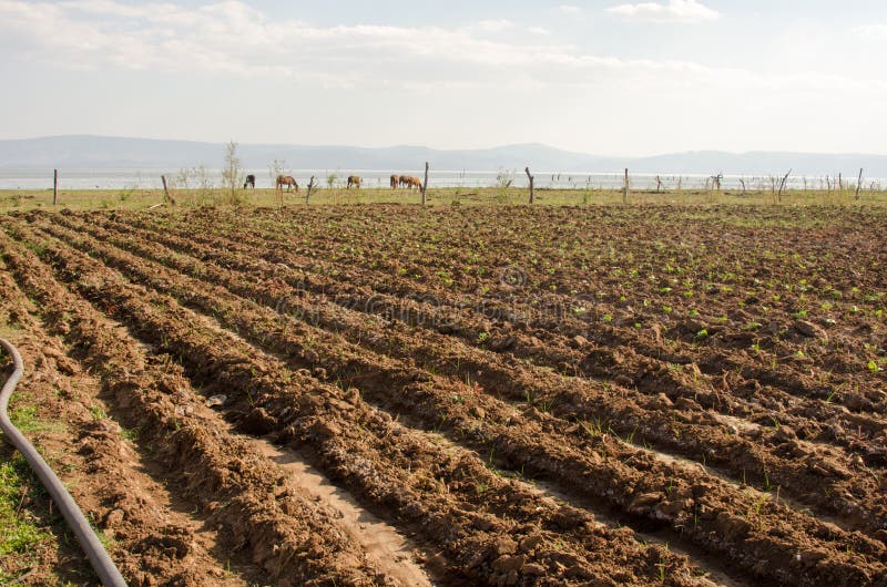 Small farm irrigation