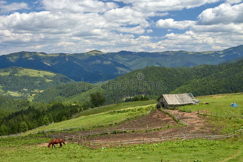 Small farm and vegetable garden high in the mountains and clean ecology royalty free stock photography Small farm and vegetable garden high in the mountains and clean ecology royalty free stock photography