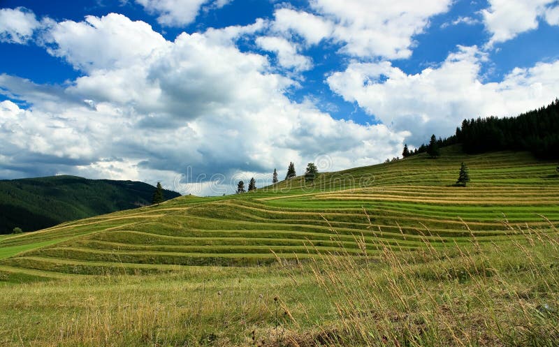 Malé polia a zamračená obloha