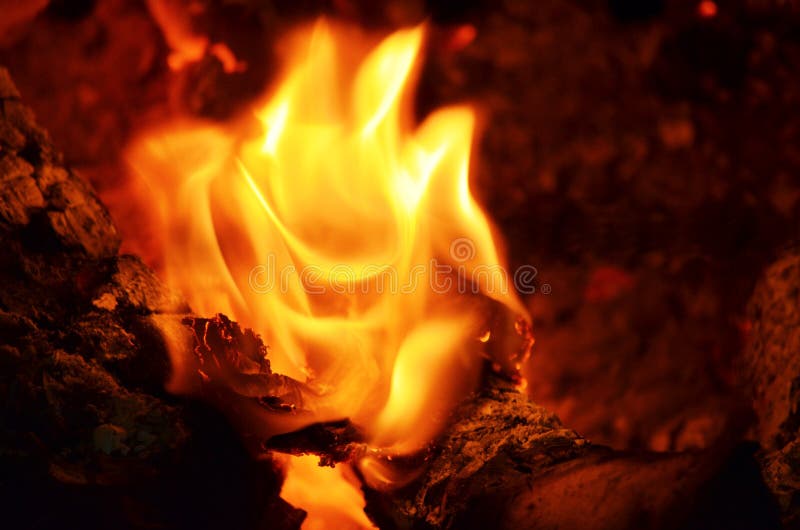 Small Flame stock photo. Image of candle, flame, close 77201444