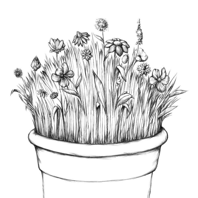 Small flower meadow in pot stock illustration
