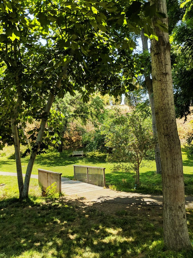 A small foot bridge over a creek in a park.