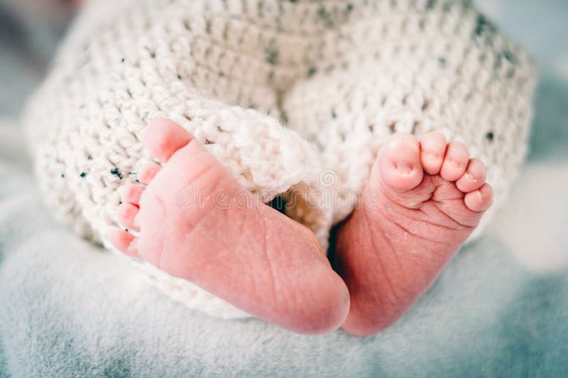 Small Foot of New Born Baby Boy Stock Photo Image of born, knitted