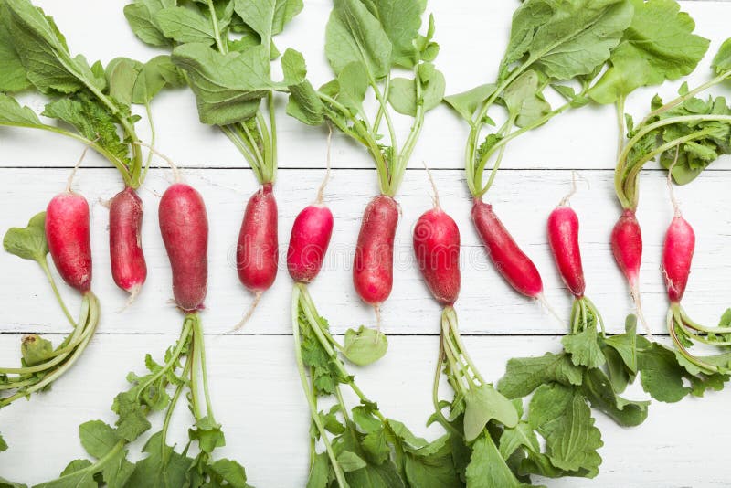 Small fresh radish bunch. Raw diet salad stock images Small fresh radish bunch. Raw diet salad stock images