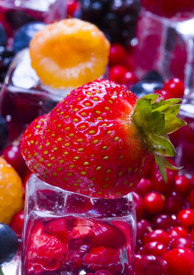 Small Fruits among Ice Cubes Stock Image Image of colours, nutritions
