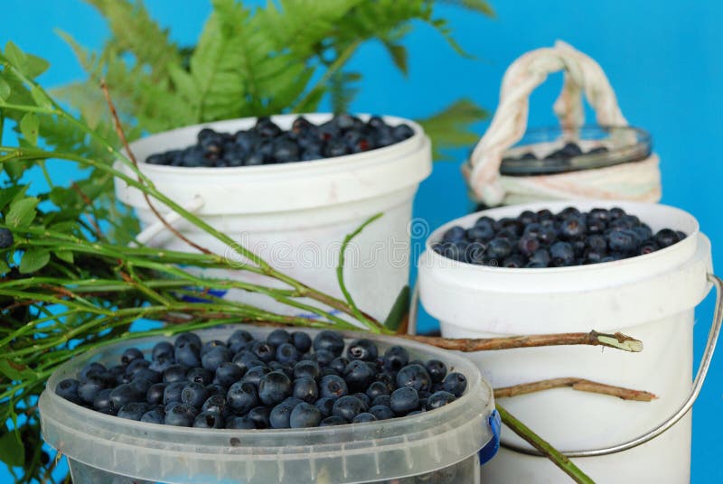 The small full buckets stock photo. Image of yield, gather - 3044694