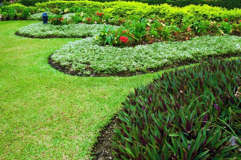 Small garden