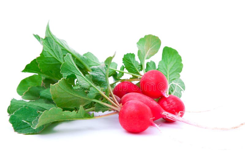 Small garden radish