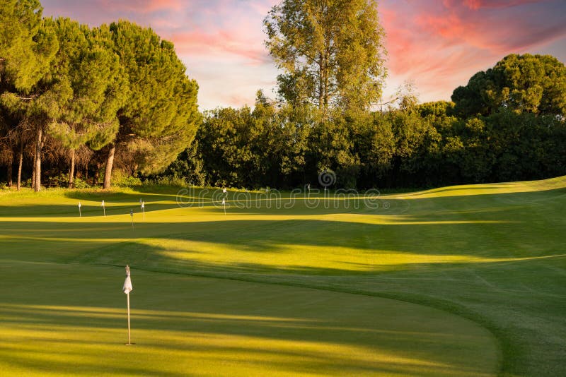 Small Golf Course with Several Holes with Practice Flags Stock Image