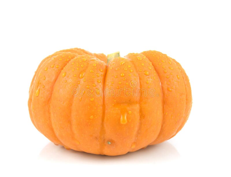 Small gourd pumpkin stock photo. Image of ripe, white 11104212