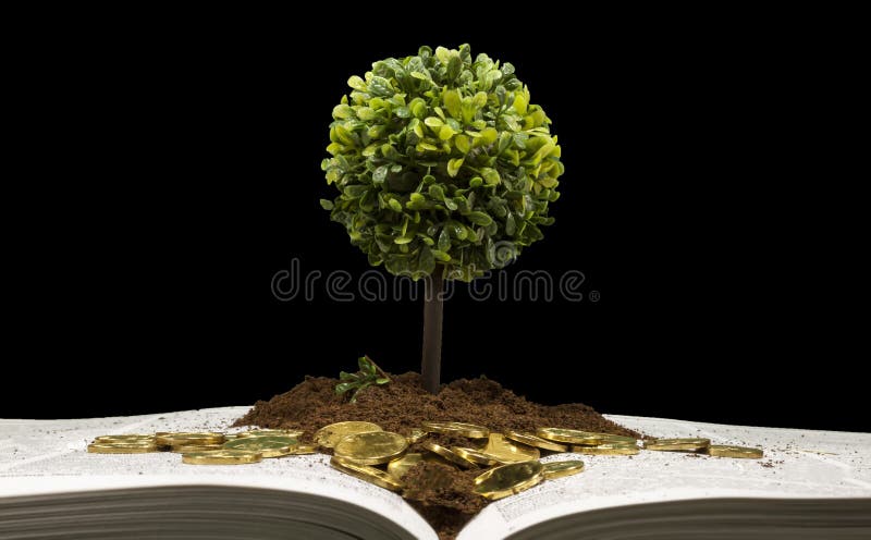 Investing in education , conceptual image royalty free stock image Investing in education , conceptual image royalty free stock image