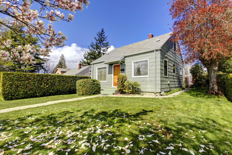 Small green house exterior with spring blooming magnolia trees. American house build in 1942. Small green house exterior with spring blooming magnolia trees. American house build in 1942.