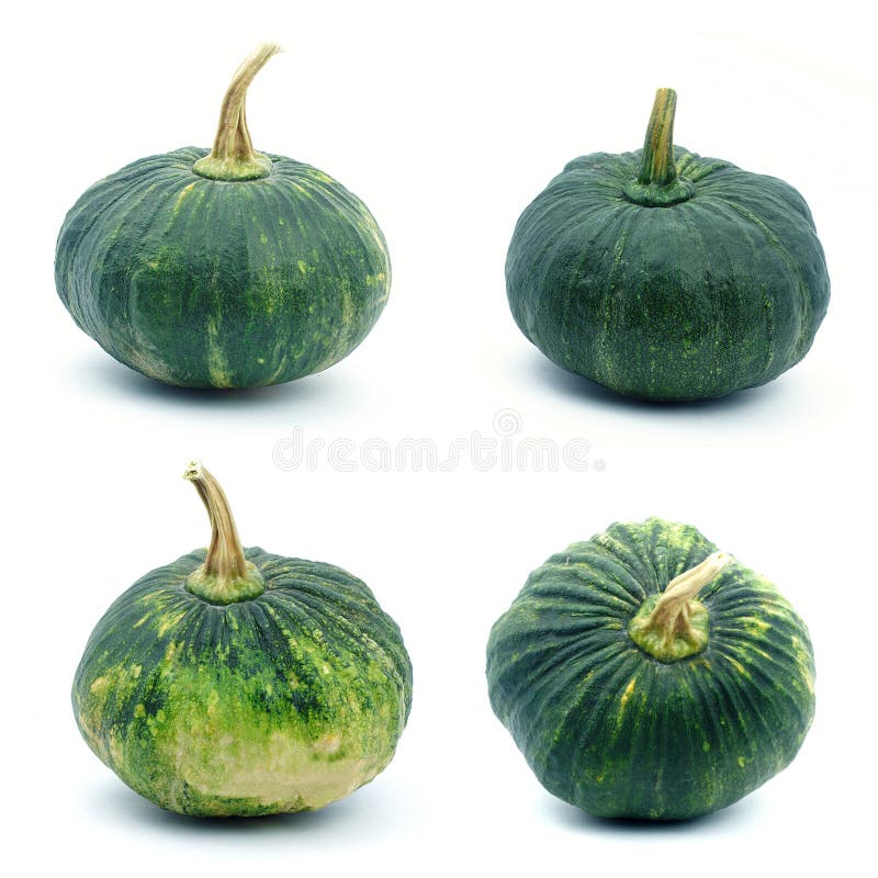 Small Green Pumpkin On White Background. Stock Photo - Image of