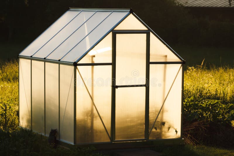 Small greenhouse in backyard royalty free stock photo Small greenhouse in backyard royalty free stock photo