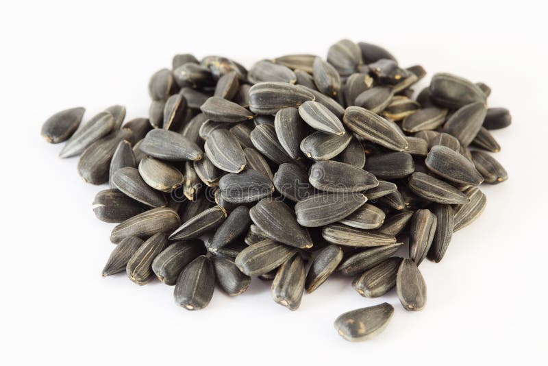 Small handful of dry black sunflower seeds on white background.