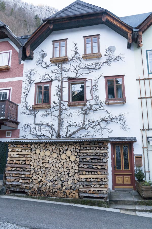 Small historical city Hallstatt in winter Austria