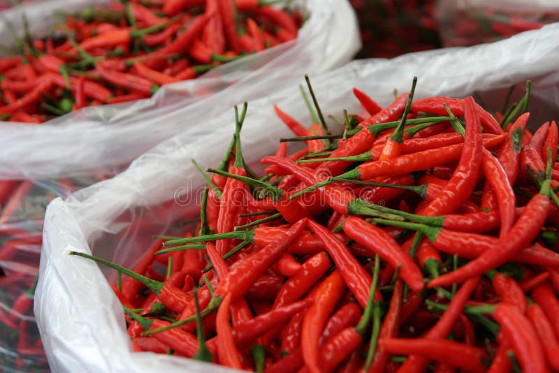 Download Small Ripe Red Hot Pepper In Plastic Bags Stock Photo - Image of background, thai: 42140816