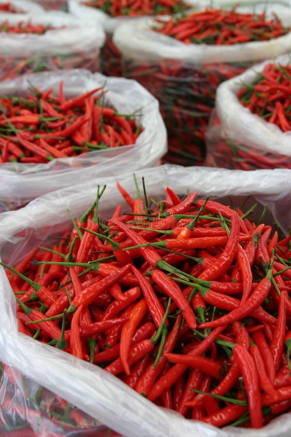 Download Small Ripe Red Hot Pepper In Plastic Bags In Fresh Market Stock Image - Image of chilli, pattern ...