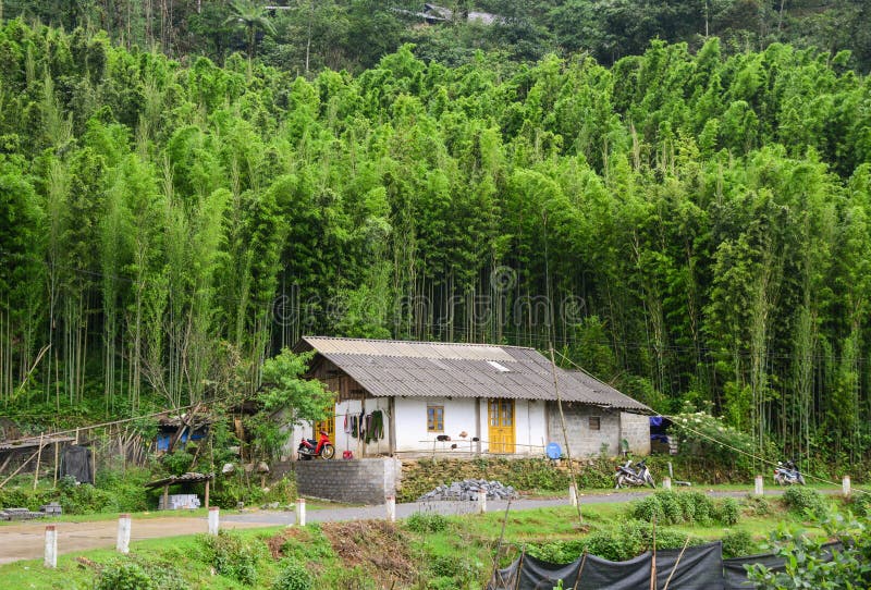 A Small House at Bamboo Forest in Sapa, Vietnam Stock Photo Image of