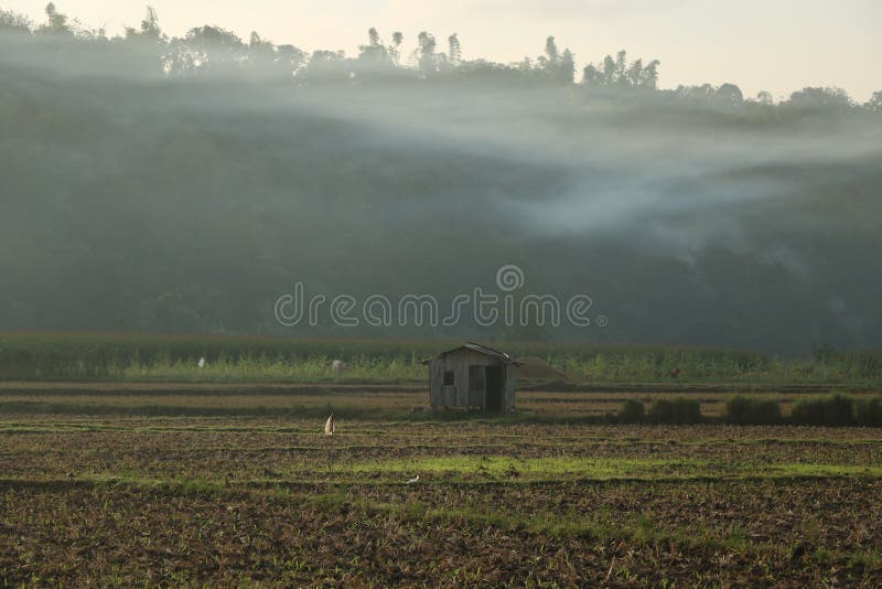 Small house royalty free stock image