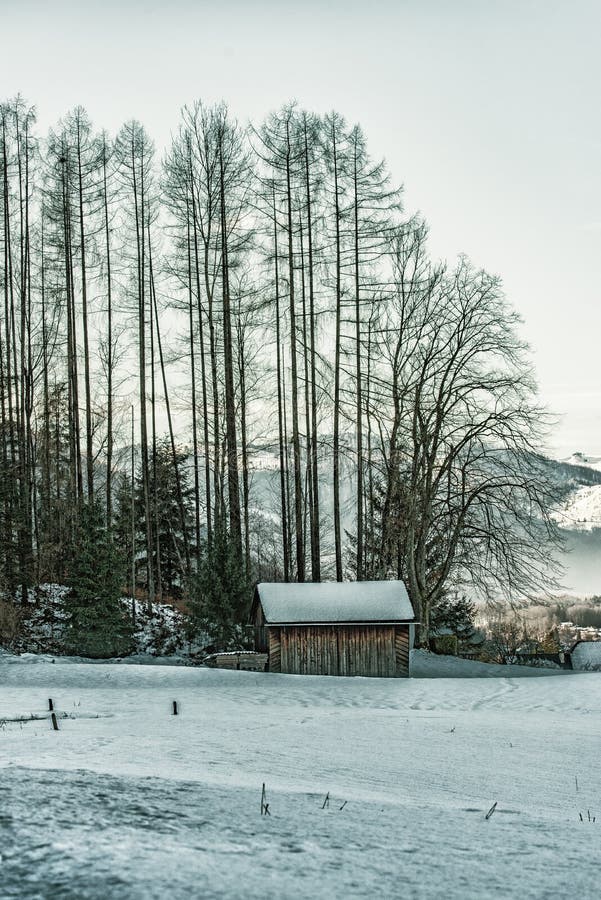 Hut in Austria`s winterlandscape royalty free stock photo