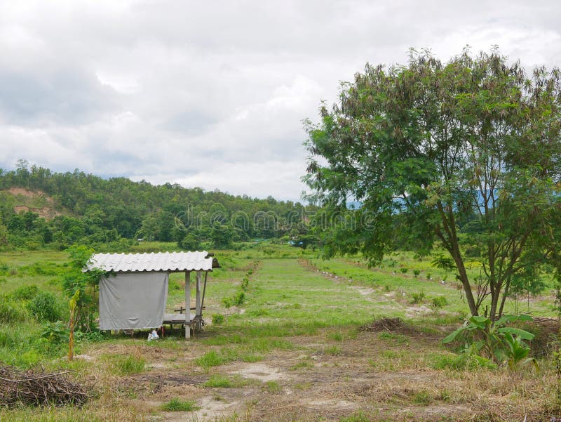 Nature farm karak