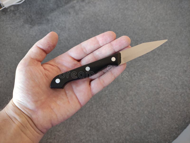 Small Kitchen Knife in a Hand Stock Image Image of hand, metal 261686081