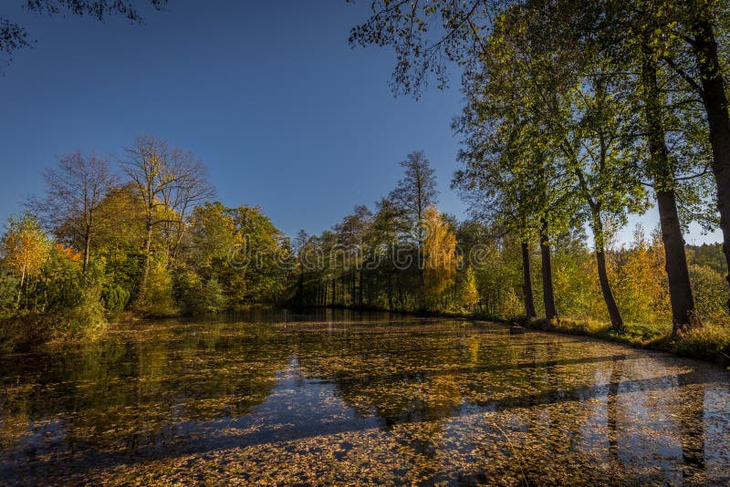 Small lake with bank full of big old trees with colorful green and yellow leaves, autumn in Czech Moravian Highlands