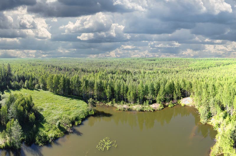 Small lake and pine forest aerial view