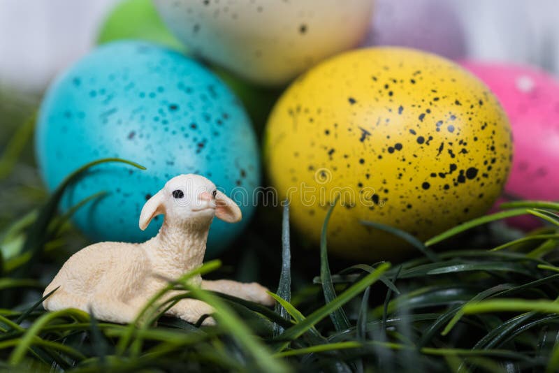 Small Lamb Next To Large Decoarted Easter Eggs Stock Image Image of