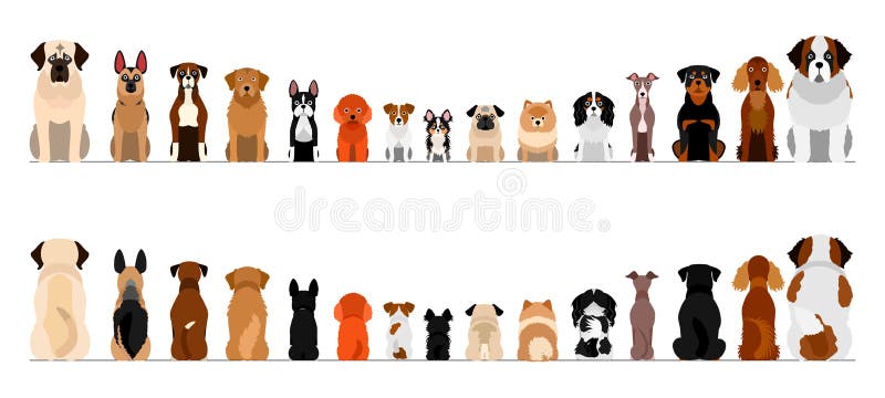 Small and large dogs border border set, full length