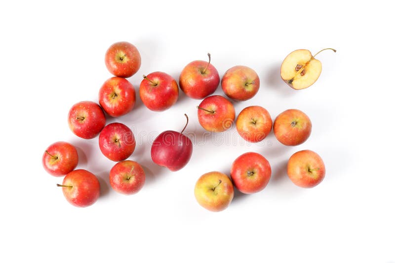 Cherry Apple fruit stock photo. Image of little, apples 105288962
