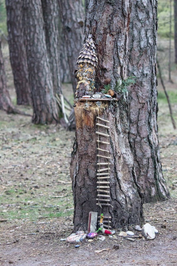 Small magical garden of the gnomes in the forest stock photos
