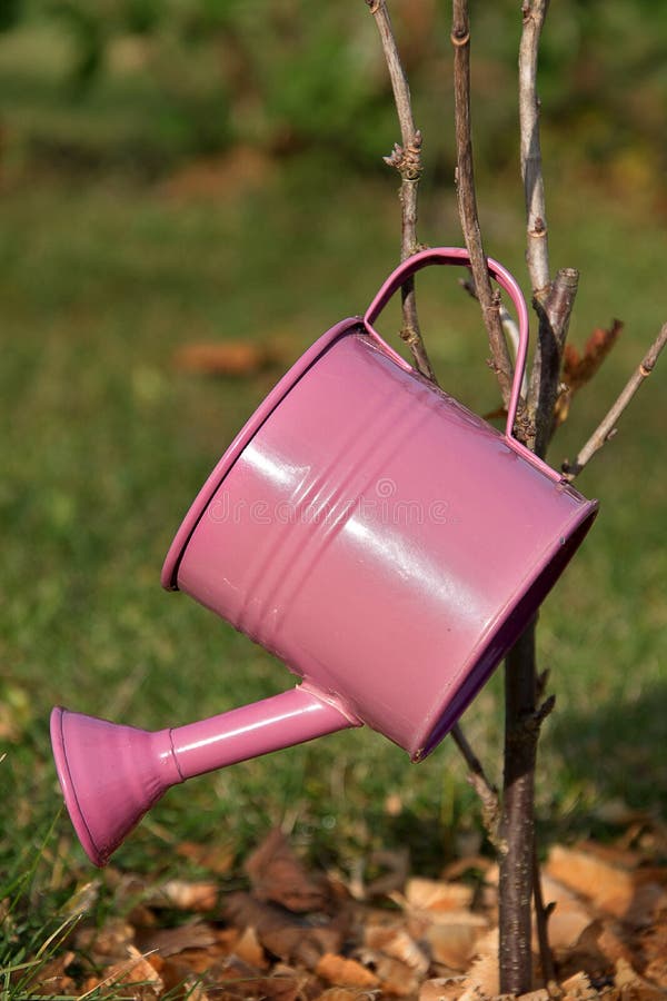 Small Metal Watering Can for Watering Laid on a Tree in the Garden. Pot