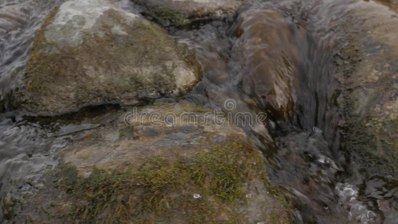 Gurgling stream rushing down a remote gorge in Euboea island, Greece Stock  Photo - Alamy