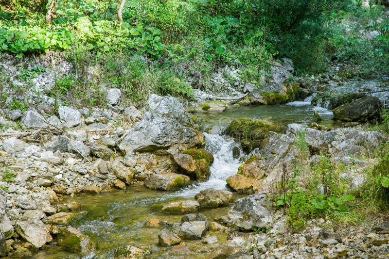 A small mountain river flowing through the mountain valley in Low Tatra region. Hiking trail along the mountain stream.