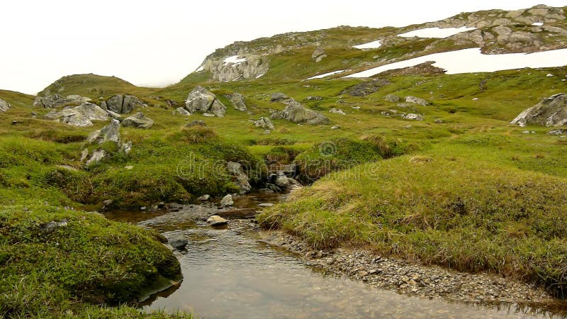 Small mountain stream in Alps, water is running over stones in fresh green meadow. High alps peaks in background.