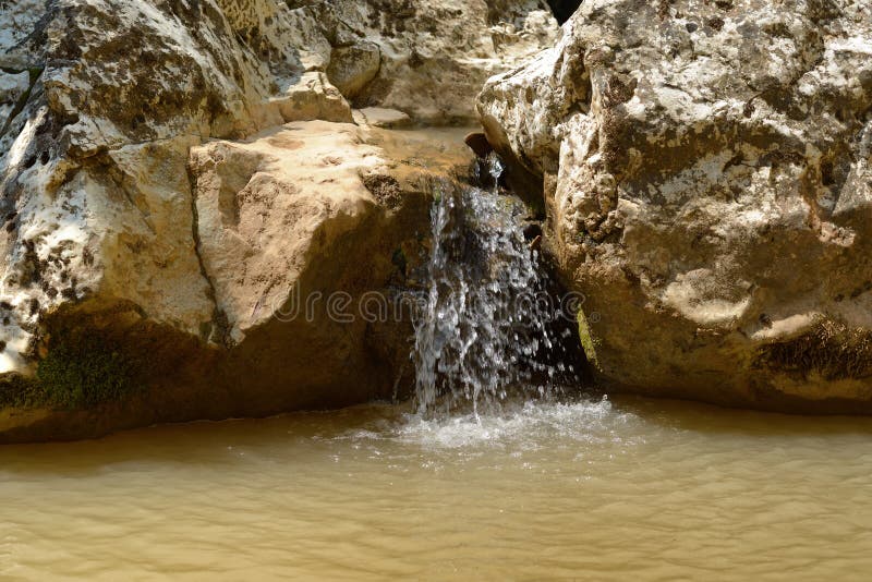 Small mountain stream royalty free stock photo
