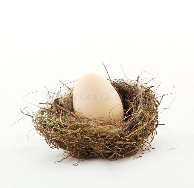 Small nest with big egg stock images Small nest with big egg stock images