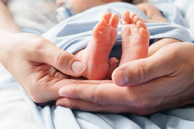 Small Newborn Baby Legs in the Hands of Parents Stock Image Image of