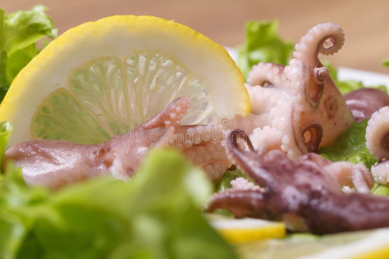 Small Octopus on a Plate with Lemon and Lettuce Stock Image Image of