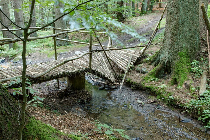Small Old Broken Wooden Bridge Stock Photo Image Of Broken Green