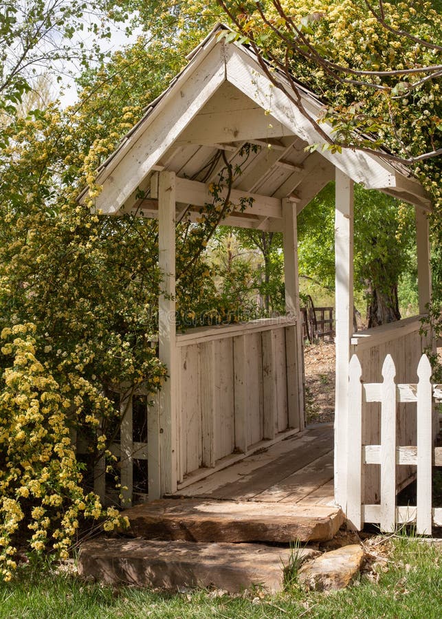 A small old covered wooden bridge with yellow climbing roses growing all around it