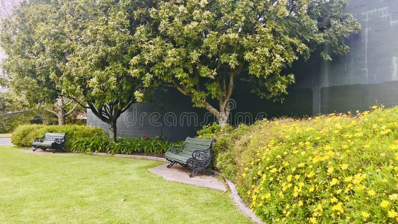 Small park with benches, yellow flowers, trees, and grey wall background.